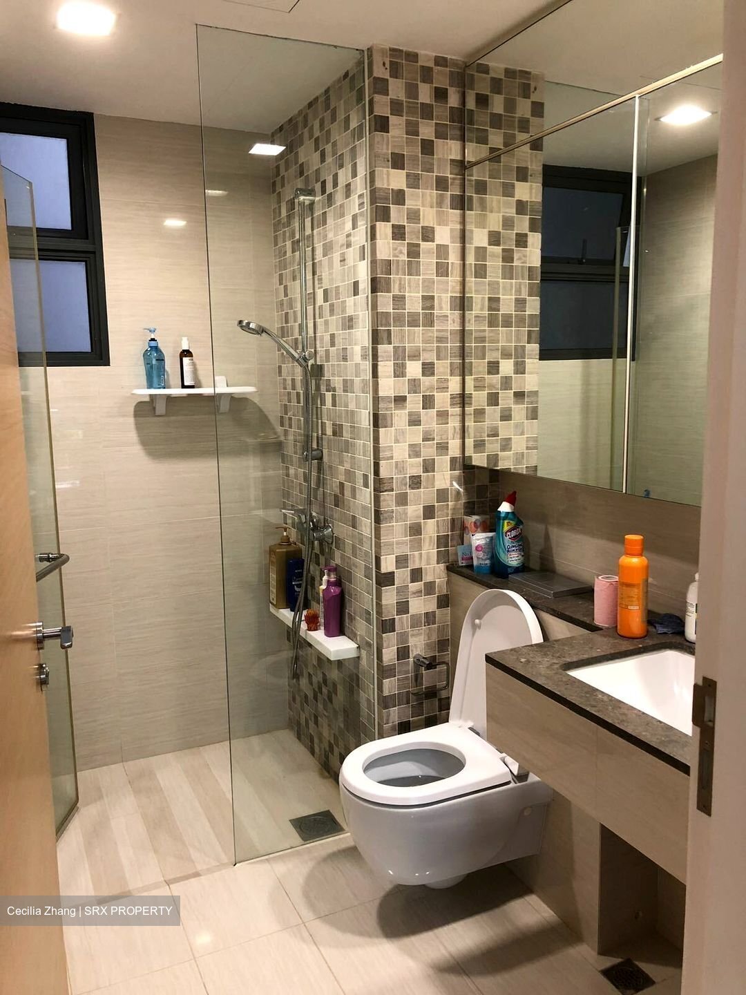 My Manhattan (D18), Condominium #456226781